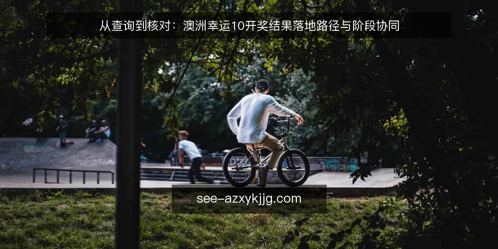 从查询到核对：澳洲幸运10开奖结果落地路径与阶段协同 — 查询环节的常见痛点 配图