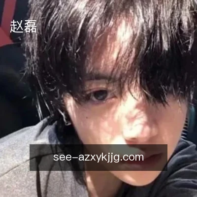 赵磊